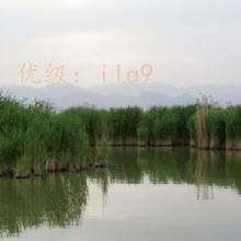 ζ